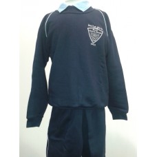 Scoil Ultain Naofa NS Baile Ghib